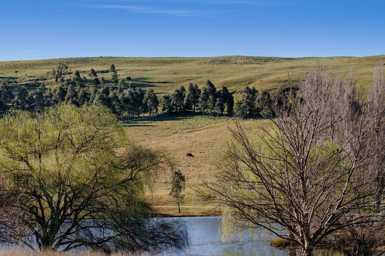 Bendooley Estate Hotell Berrima Eksteriør bilde
